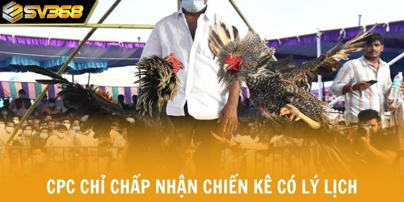 CPC chỉ chấp nhận chiến kê có lý lịch rõ ràng và kinh nghiệm.