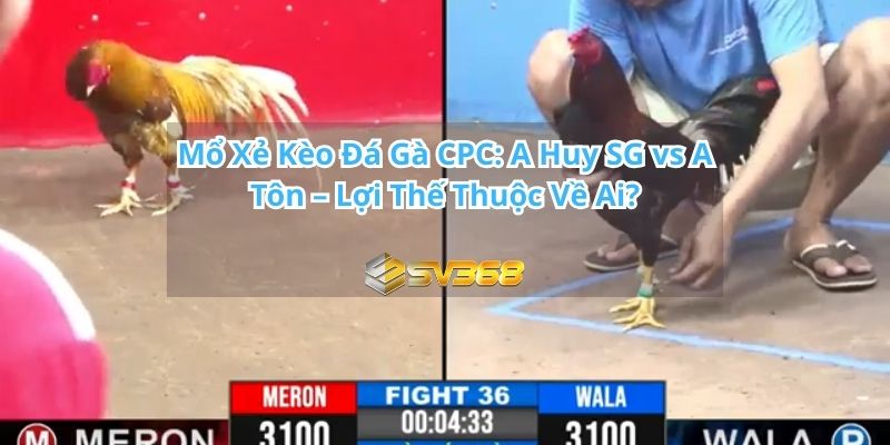 A Huy SG vs A Tôn