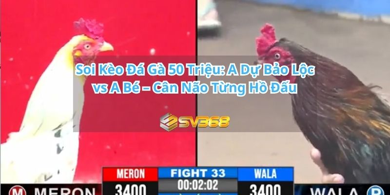 A Dự Bảo Lộc vs A Bé