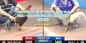 trực tiếp đá gà anh tuấn vs anh vinh