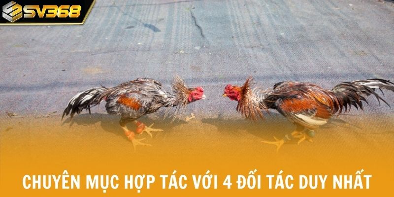 Chuyên mục đá gà hợp tác với 4 đối tác duy nhất