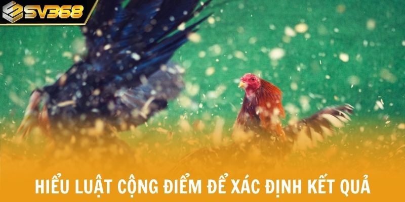 Hiểu luật cộng điểm để xác định kết quả trận