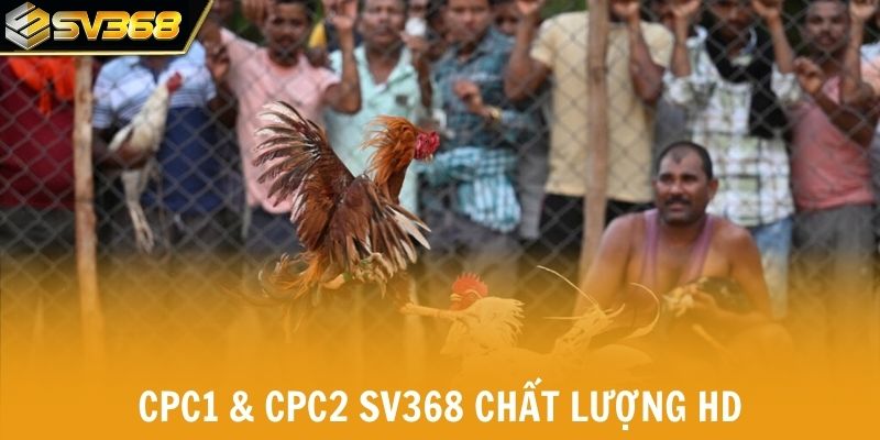 Live trận đấu CPC1 & CPC2 chất lượng HD sắc nét