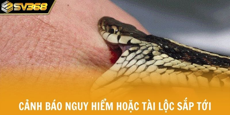 Mơ thấy rắn cắn cảnh báo nguy hiểm hoặc báo tài lộc sắp tới