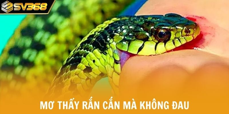 Mơ thấy rắn cắn mà không đau thường mang điềm lành