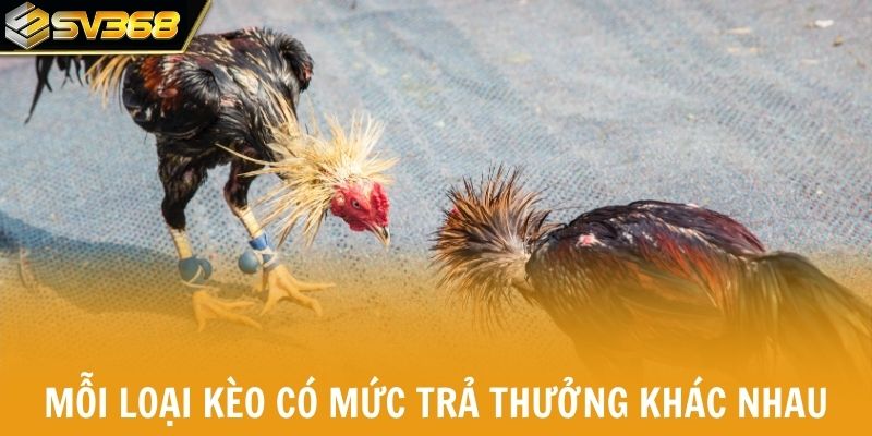 Mỗi loại kèo có mức trả thưởng cược khác nhau