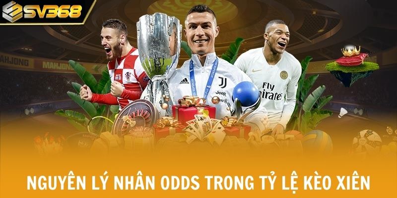 Nguyên lý nhân odds trong tỷ lệ kèo xiên cần nắm