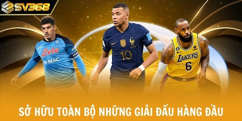 Hệ thống sở hữu toàn bộ những giải đấu hàng đầu