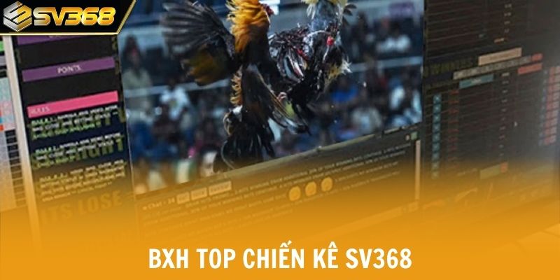 BXH top chiến kê tại SV368 được xét duyệt nghiêm ngặt