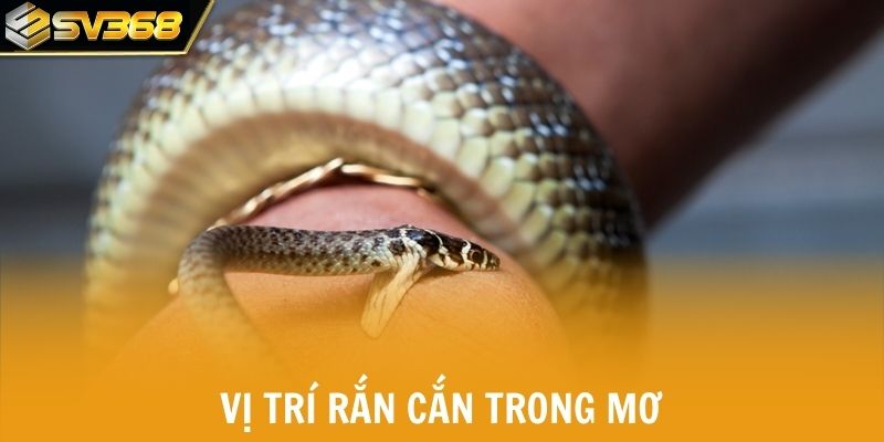 Vị trí rắn cắn trong mơ quyết định cặp số