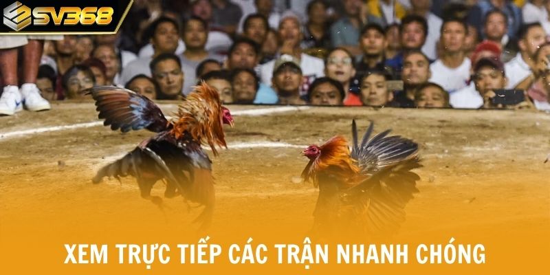 Xem trực tiếp các trận CPC1 và CPC2 nhanh chóng